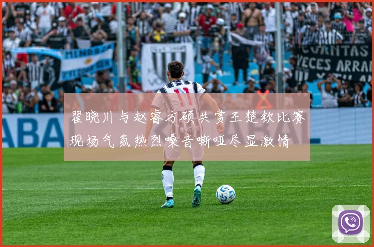 翟晓川与赵睿方硕共赏王楚钦比赛现场气氛热烈嗓音嘶哑尽显激情